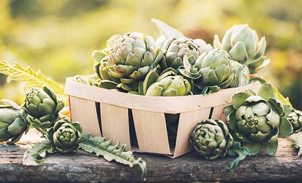 Organic Artichoke 