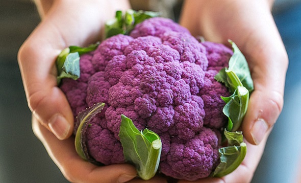 Purple Cauliflower